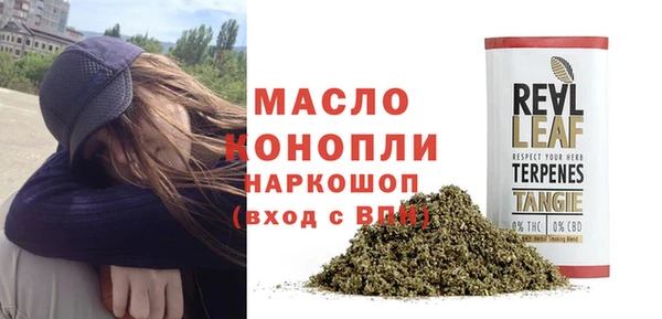 крисы Баксан