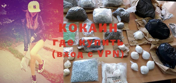 крисы Баксан