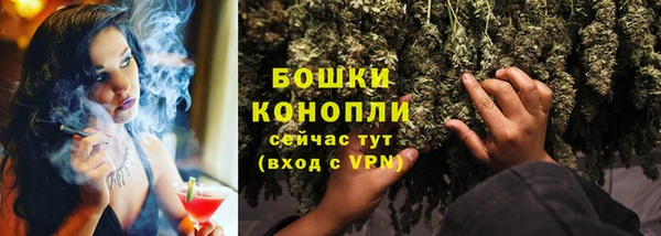 крисы Баксан