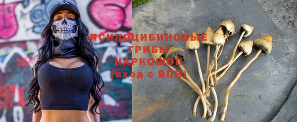 крисы Баксан
