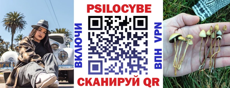 Псилоцибиновые грибы Psilocybe Североуральск